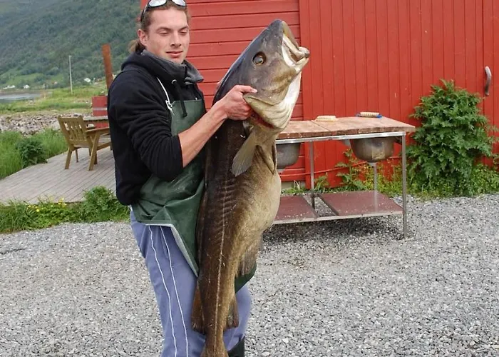 Aa-gard Tennevoll